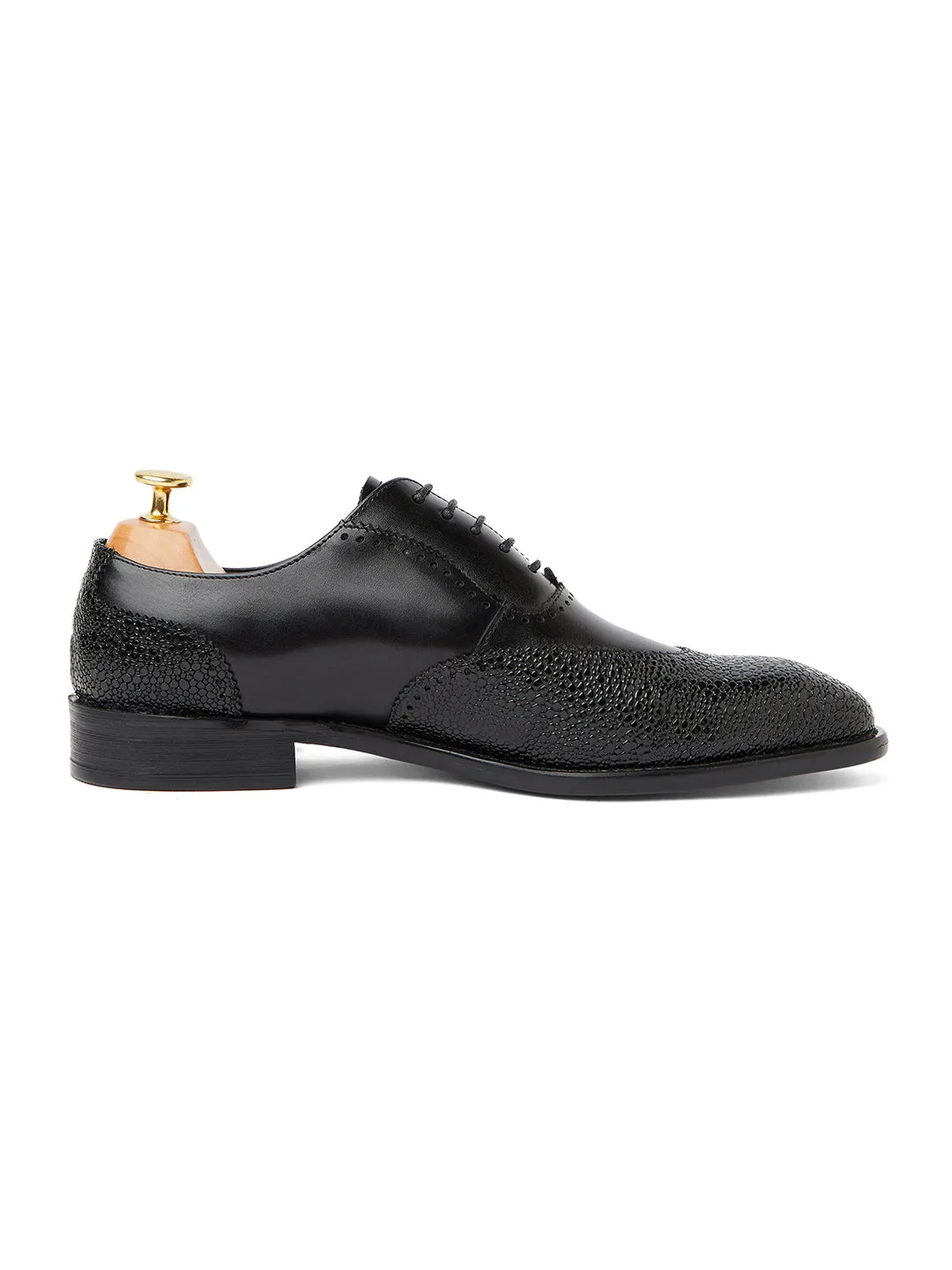 Canne Stingray Leather Oxfords - Black